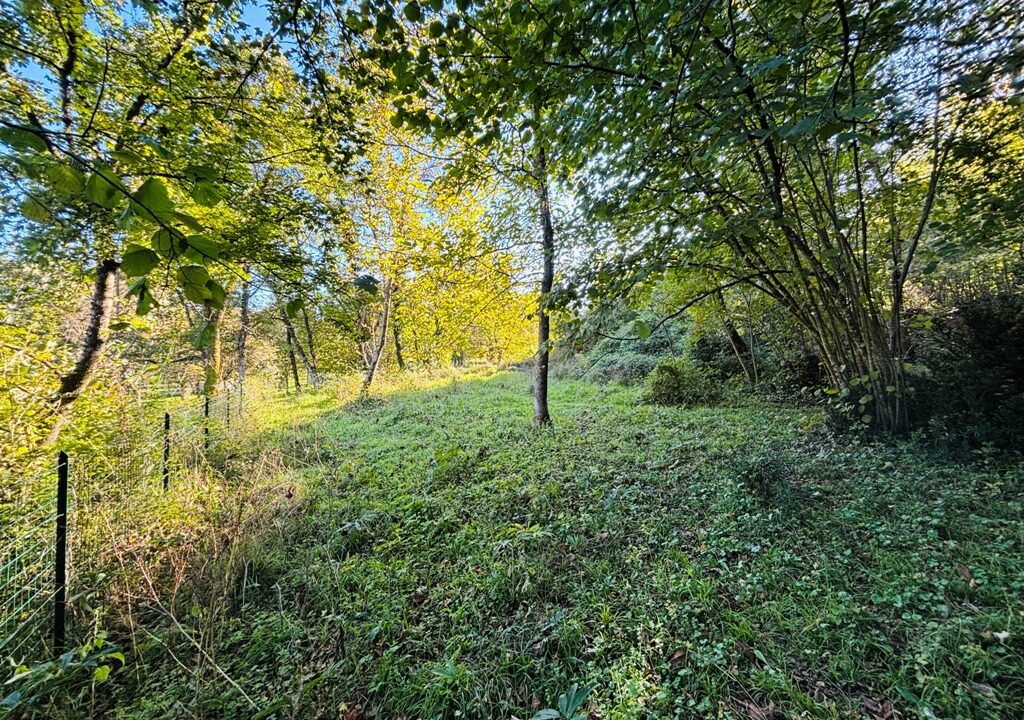 133 (24)