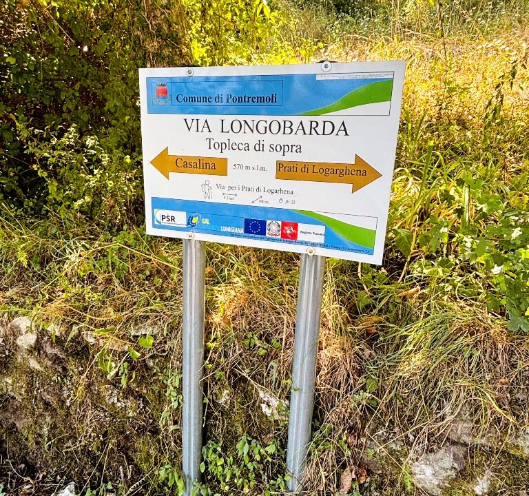 Lavc59.14.100